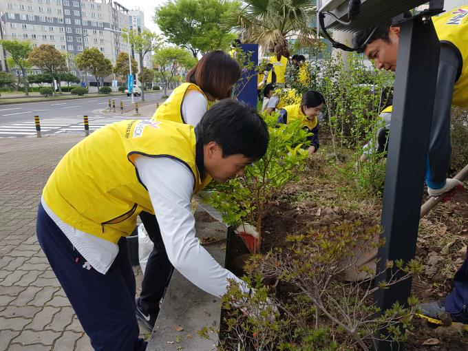 제주 - 제73회 식목일 기념 나무심기 및 환경정화 활동 펼쳐 사진